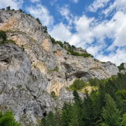 dyavolskogarlo4