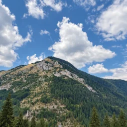 Планинска панорама от Орфеевите скали край Пампорово