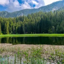 Смолянските езера сред иглолистните гори на Родопите край Пампорово