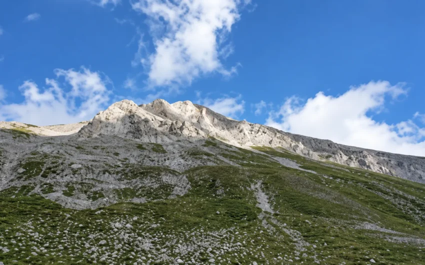 vihren6