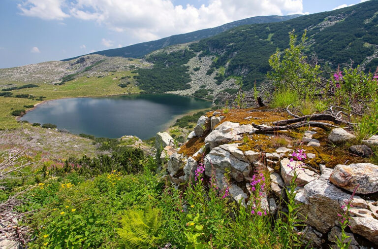 Йончево езеро