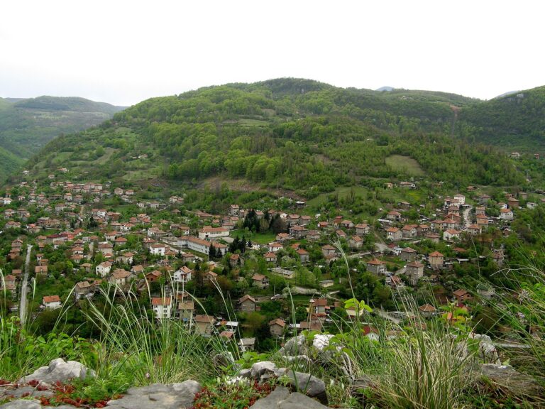 Лакатник