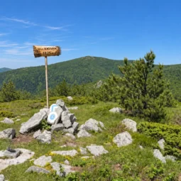 Планинска панорама с дървена табела, туристическа маркировка върху скали и зелени гористи склонове.