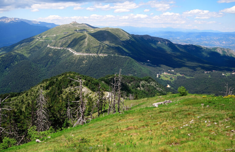 Парангалица (резерват)