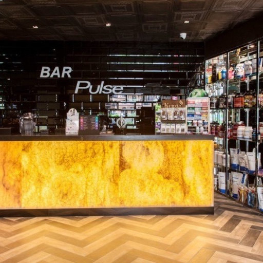Pulse Protein Bar