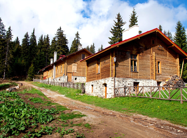 Саръгьол (дворец)