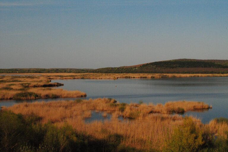 Сребърна