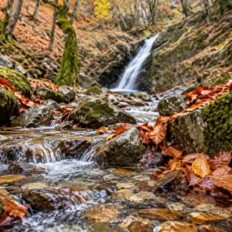 Потокът под водопад Туфча сред камъни, мъх и паднали оранжеви листа.