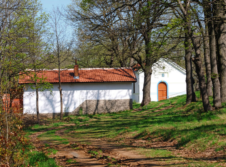 Вакарелски манастир Св. Петка