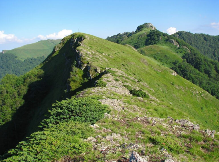 Връх Кучето