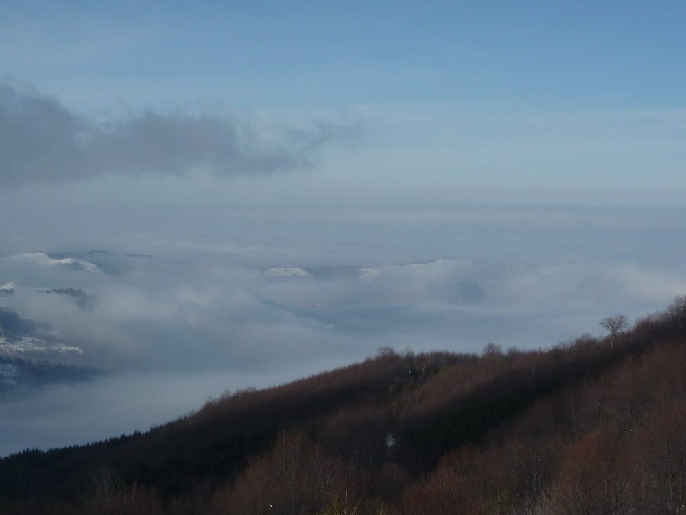 Беклемето
