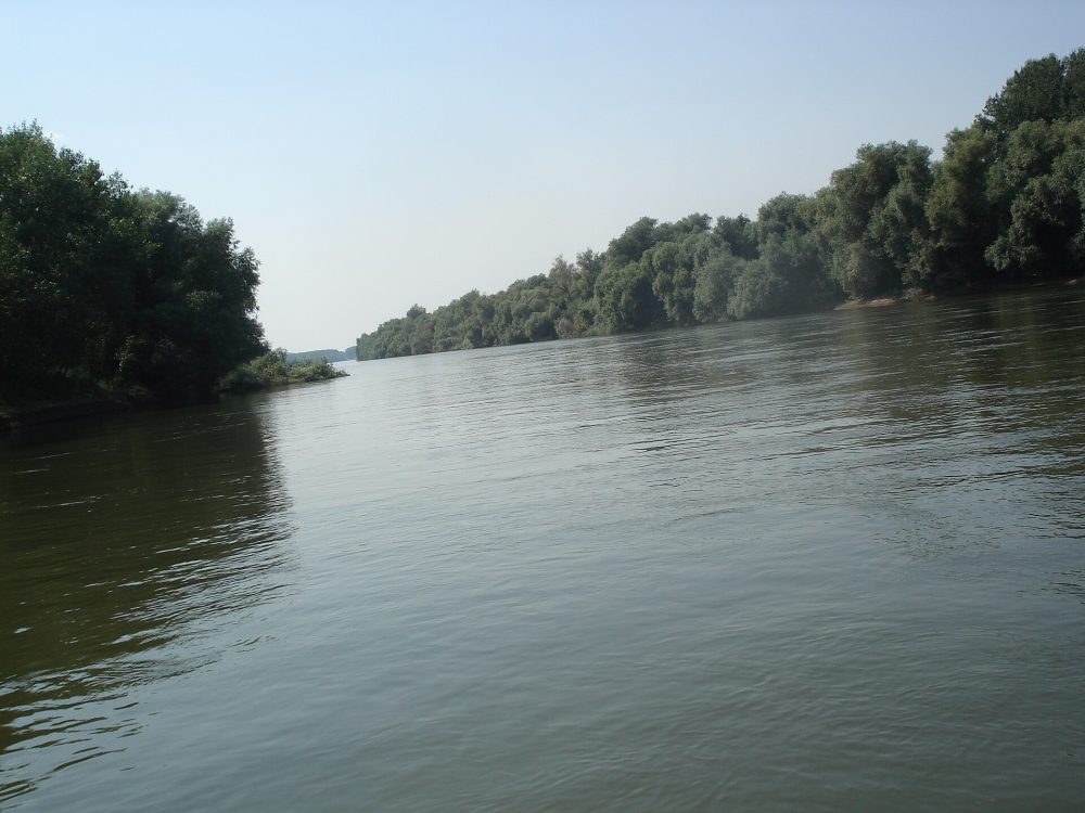 Белене