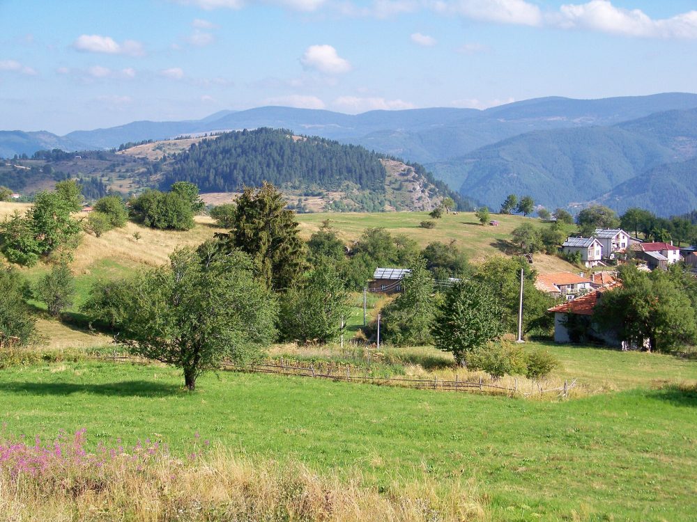 Гела