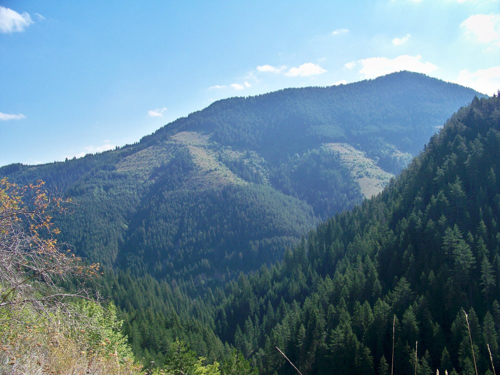 Гела