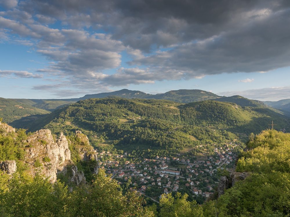 Лакатник