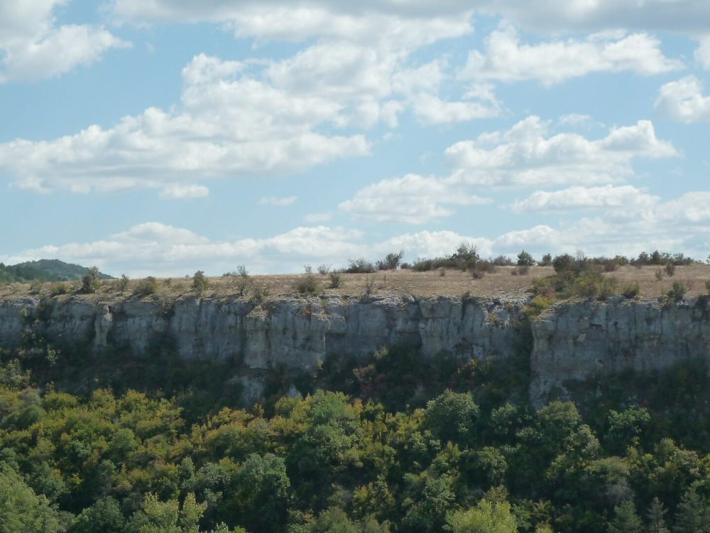 Ловеч
