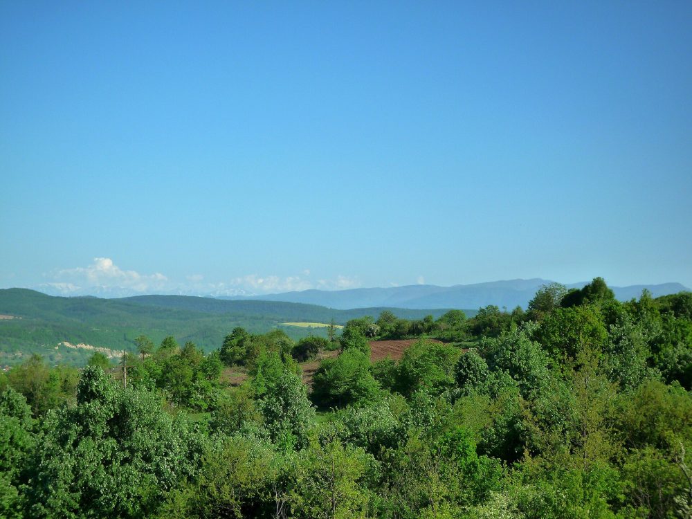Луковит