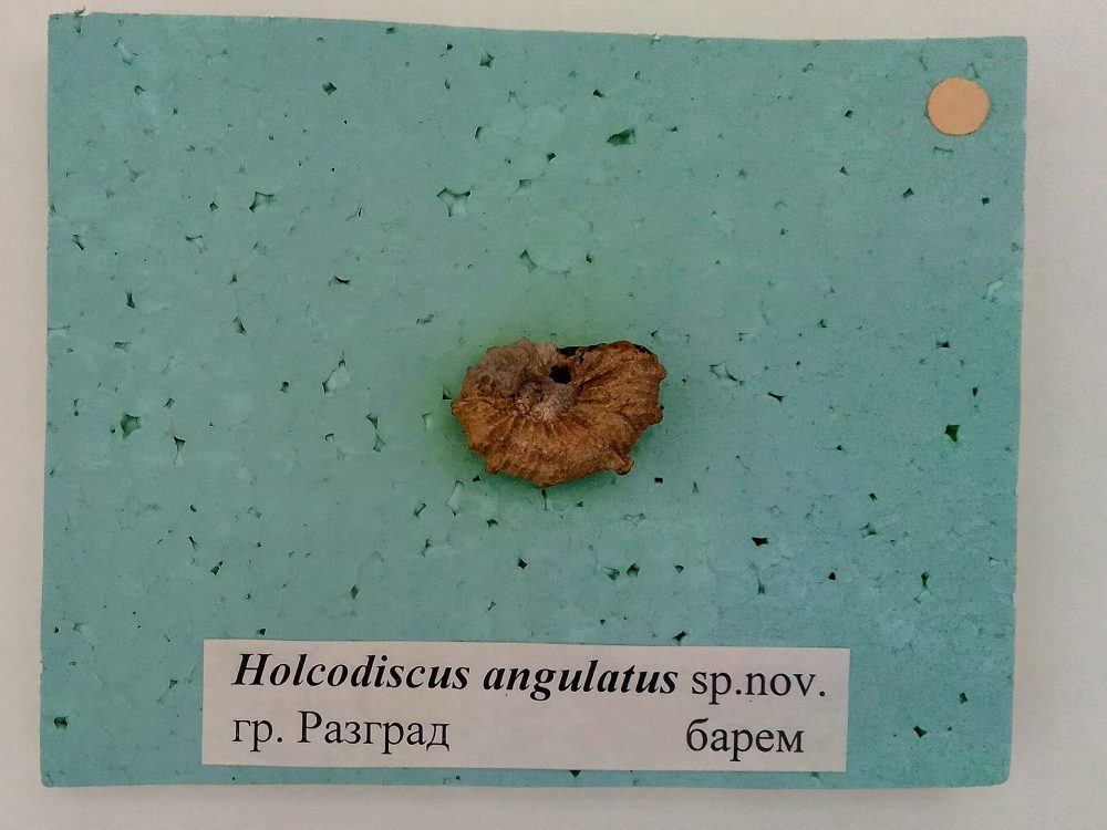 Разград