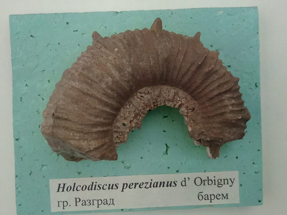 Разград