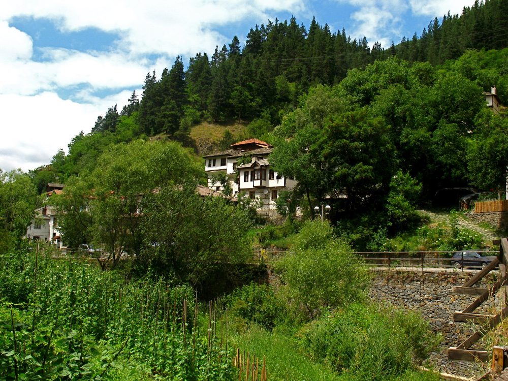 Широка лъка