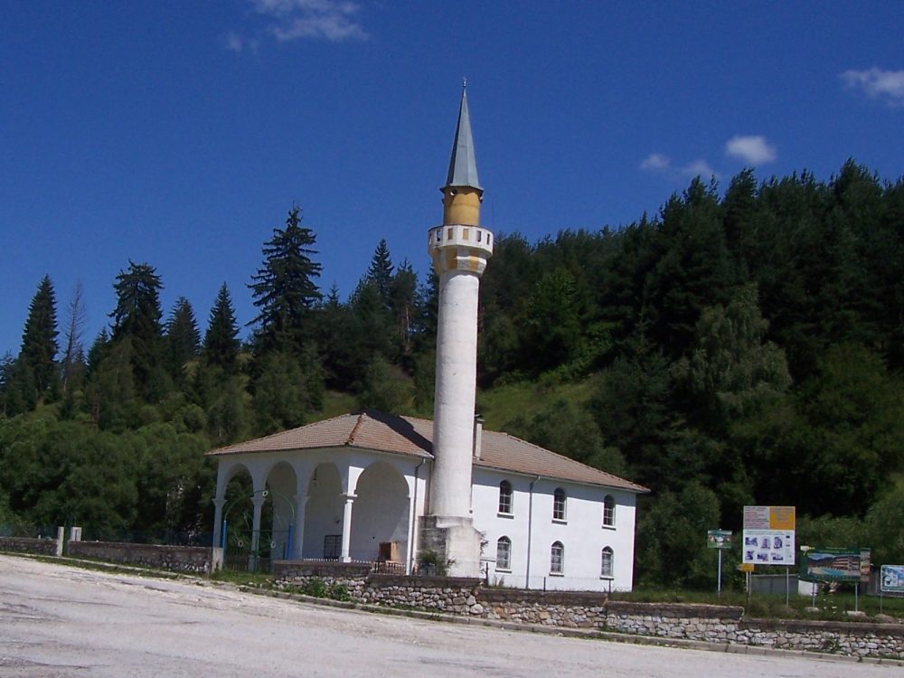 Ягодина